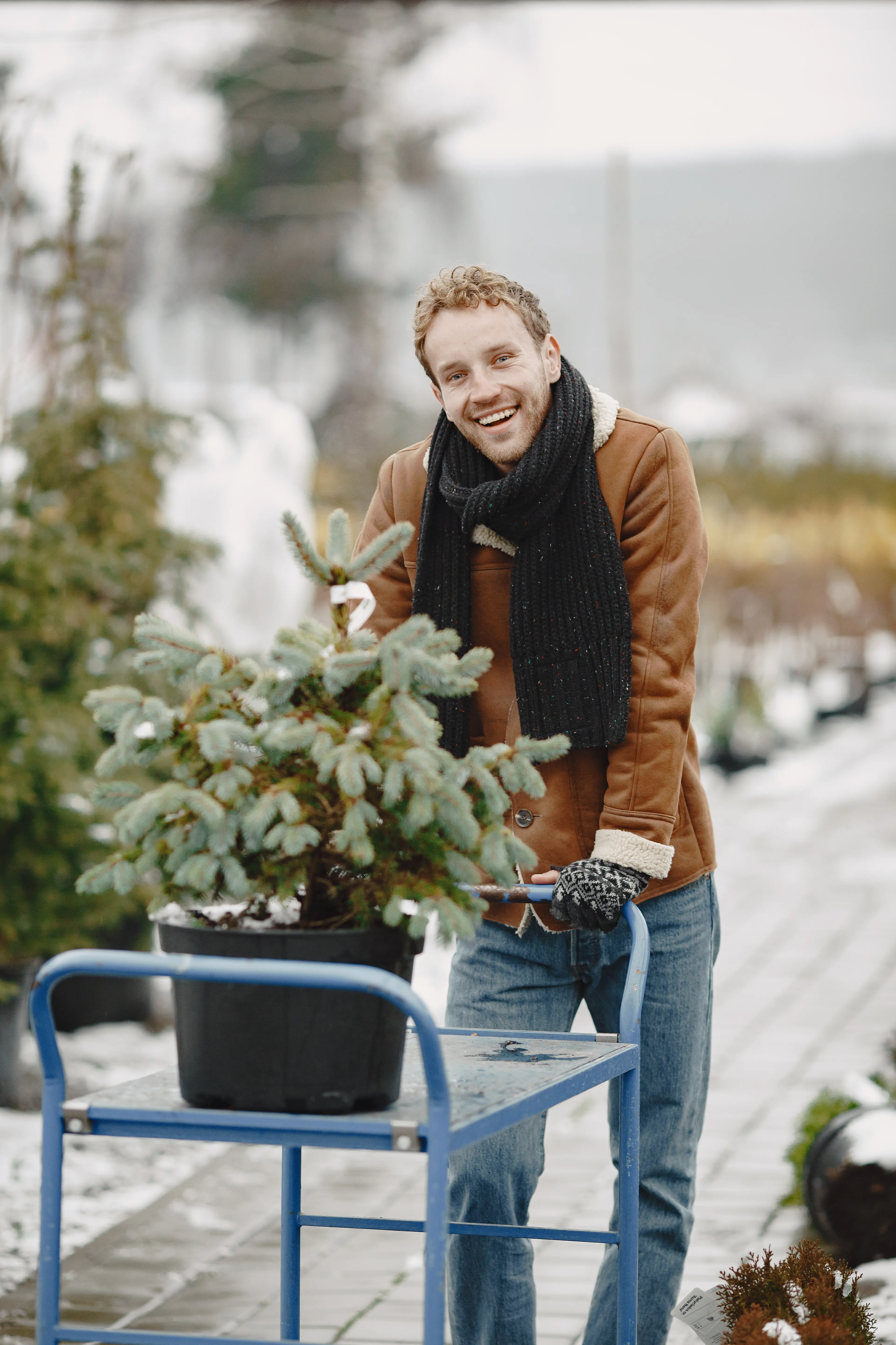 Winter-themed concept featuring a man in a brown coat, a Christmas tree salesman.