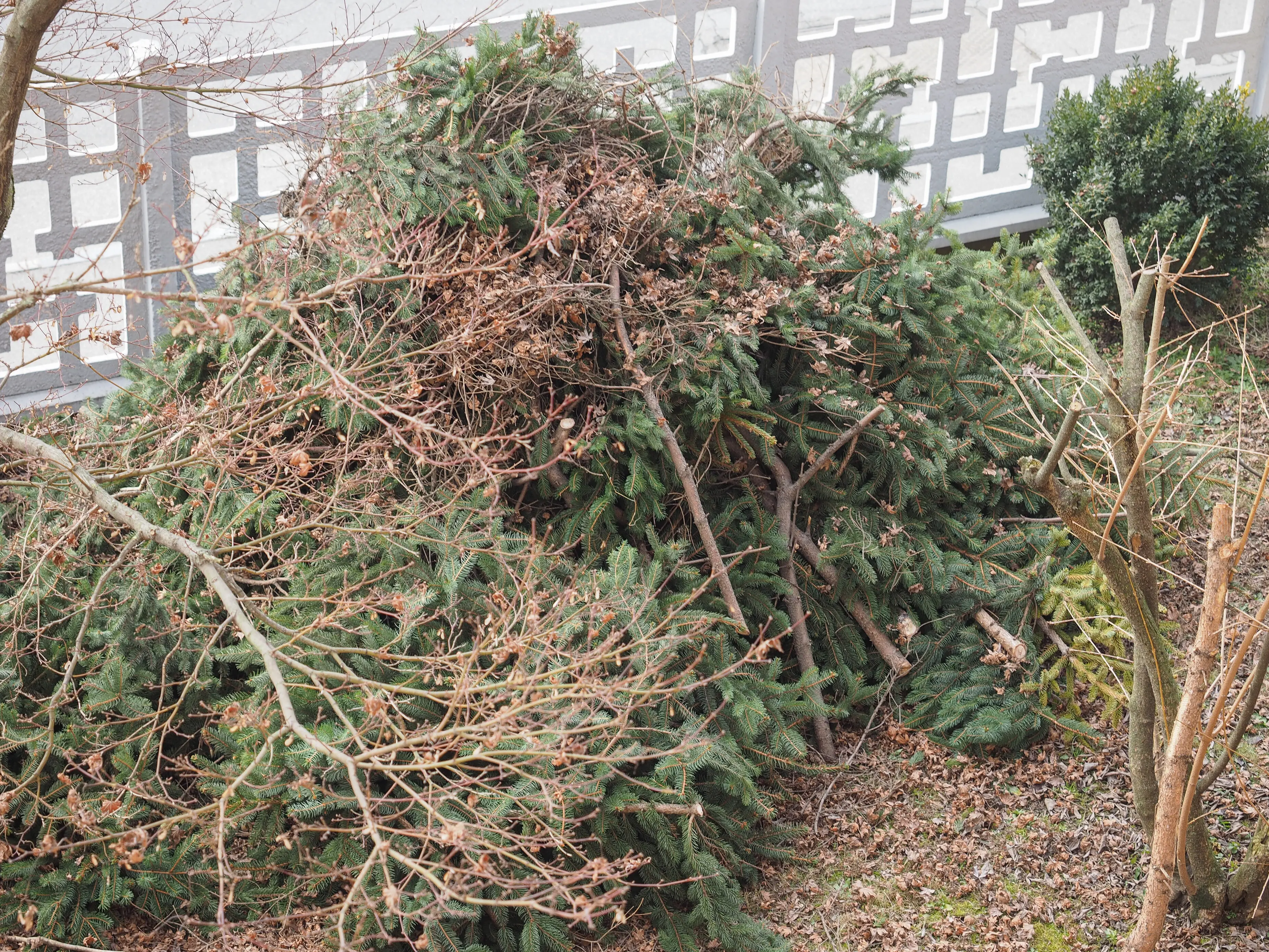 Please provide the original description to rephrase.