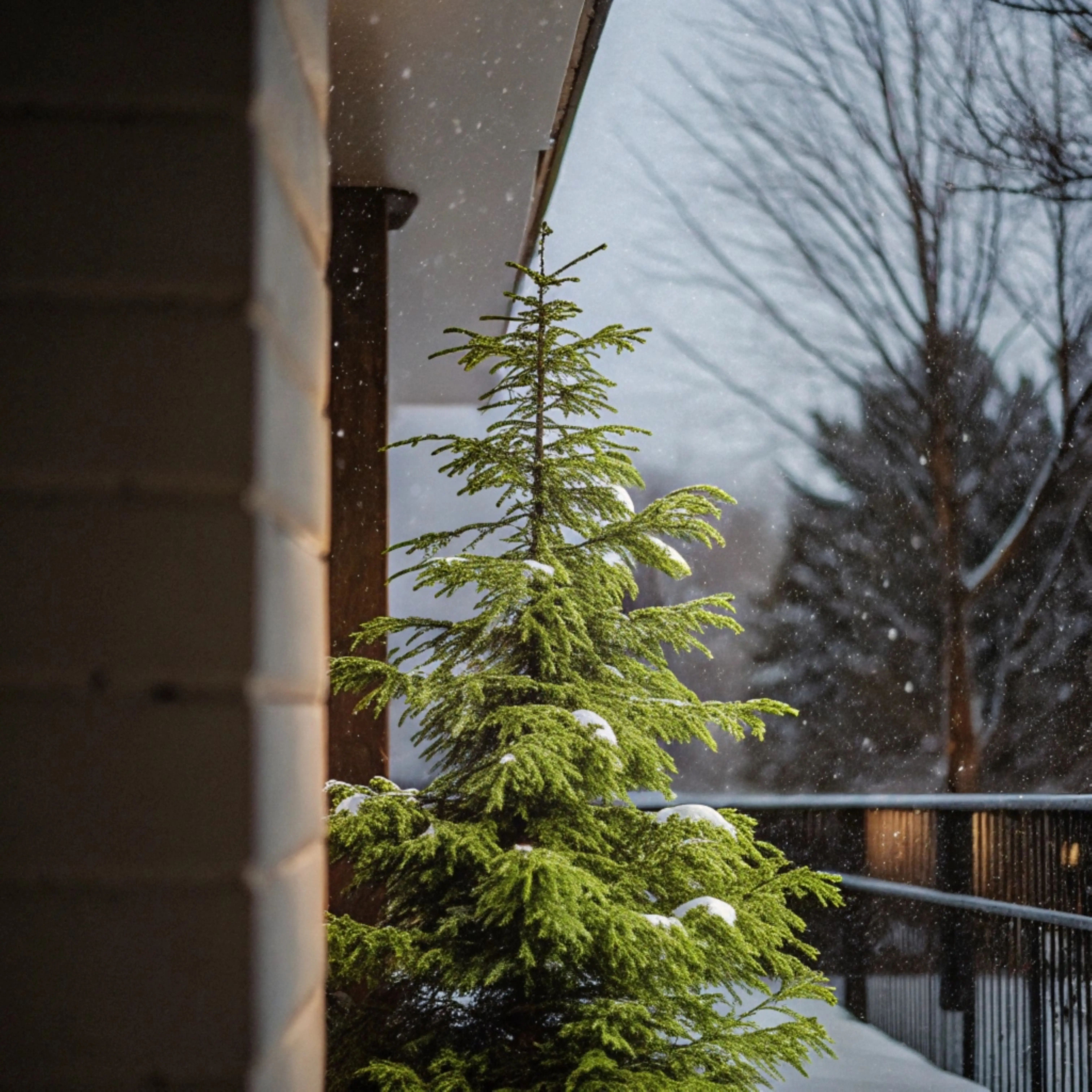 a tree with brown-and-white bark that has the word 'gnar' on it