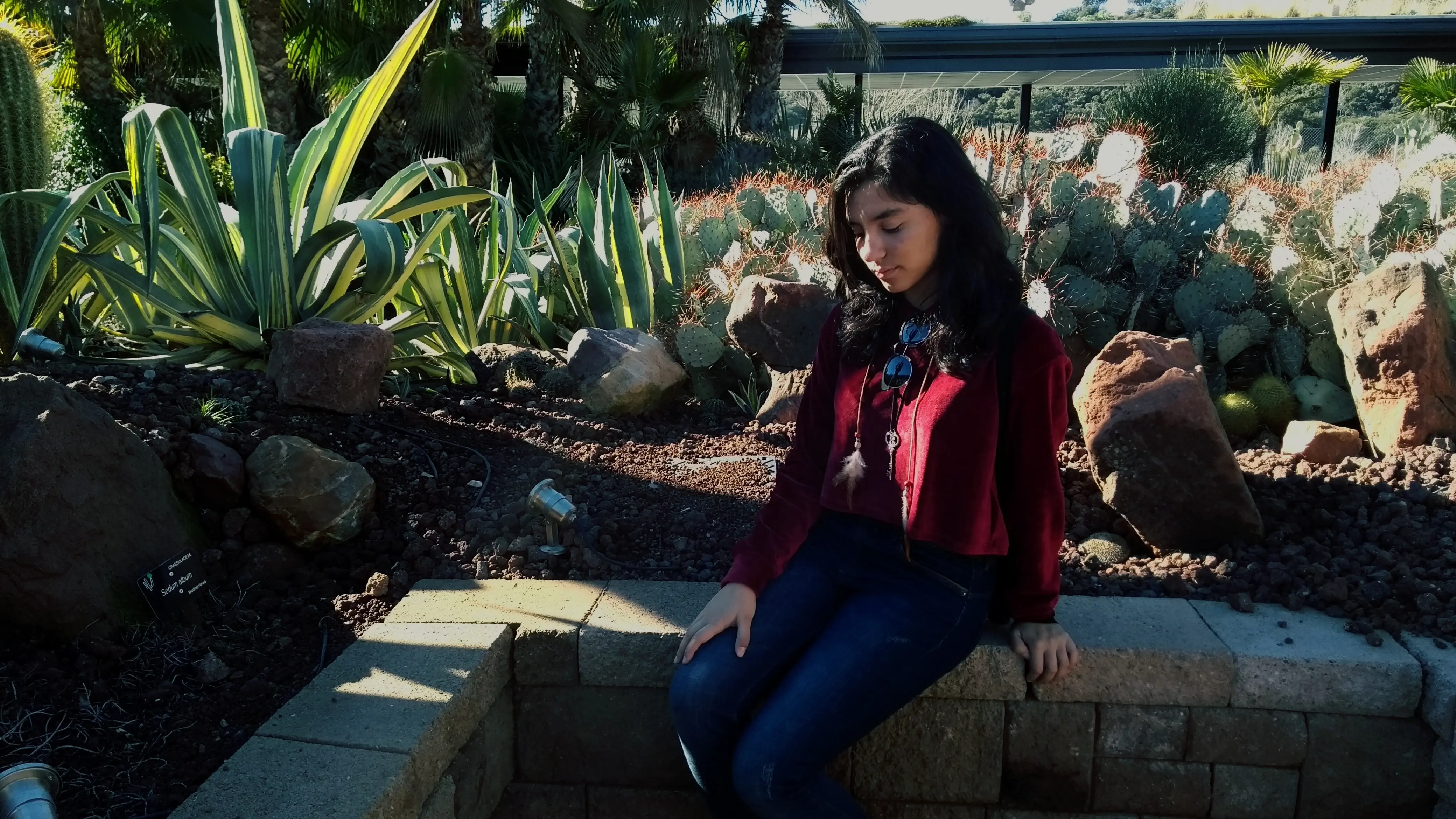 A young woman seated on a retaining wall with plants in the background.